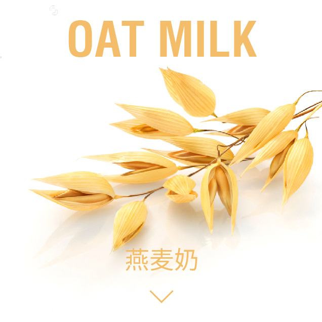 植物蛋白饮料